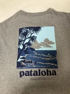 patagonia パタロハ　ハワイ限定 Tシャツ　Mサイズ HALEIWA限定