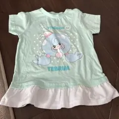 ポケモン TEBRIM Tシャツ ミントグリーン