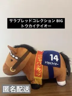 Item thumbnail for item 44014b5d-69a4-43c3-932b-59bd5ea08e0e