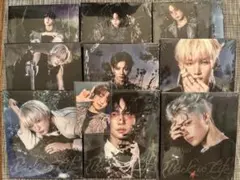 &TEAM Back to life ROAR BtL 新品未開封 9形態セット