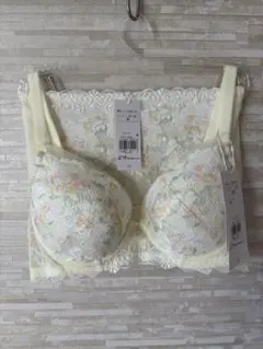 D70&M」トリンプ プレミアム レッドレーベル クチナシの花 ブラ&ショーツ