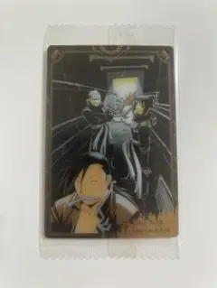 ひゅまぞう様専用　5枚セット