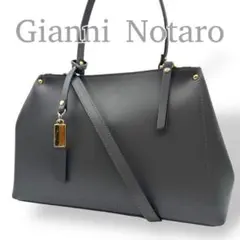 AK3【美品】　ジャンニノターロ　2way　ショルダーバッグ　付け外しポーチ付き