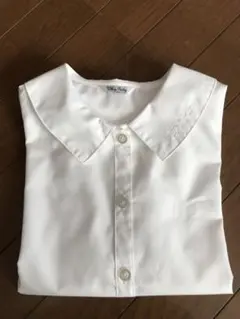 Item thumbnail for item 7562ca79-b1fa-4df3-877f-e79f12e8ee99