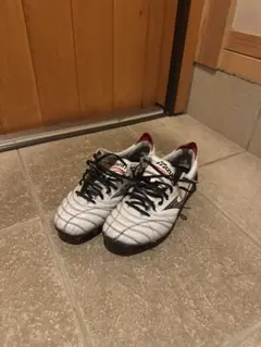 【年末価格】ミズノ　モレリアネオ4 25センチ