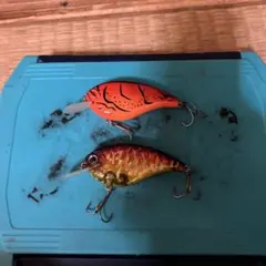 エバーグリーン　モード　フラットホースのサムネイル