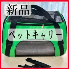 Item thumbnail for item 6d3ef4ba-e41b-4ae4-9e54-59db2898c881