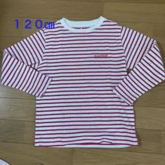 キッズ　長袖　トップス　ボーダー　登山　山登り