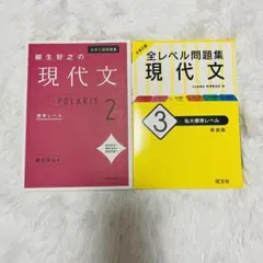 現代文 参考書2冊セット