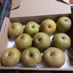 ラムネ様専用です。