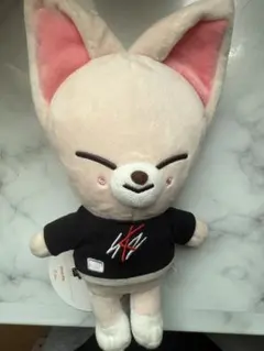 2025年最新】straykids ポップアップ アイエンの人気アイテム - メルカリ