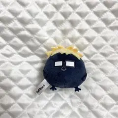 ハイキュー！！　ヒナガラスのたまご ぬいぐるみマスコット 10個セット ハイキュー!! ヒナガラスのたまご マスコット 10個セット - メルカリ