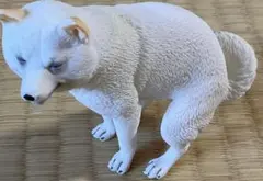 空に浮かぶ白犬 空に浮かぶ白犬 - メルカリ