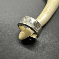 Item thumbnail for item d393a0e0-50b7-4113-902e-d29037d44ddf