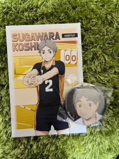 Item thumbnail for item 07ab2023-ab40-4f98-89ee-4ed7e490f5de