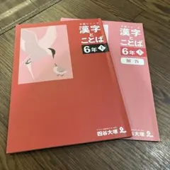 2026年最新】四谷大塚予習シリーズの人気アイテム - メルカリ