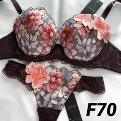 2026年最新】サルート f70の人気アイテム - メルカリ