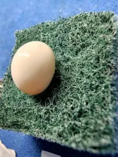 Item thumbnail for item d2f892d1-c9cc-4dfe-b11f-645fb268b317