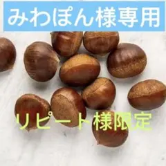みわぽん様専用ページ3キロ