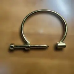 Item thumbnail for item 1b8533bd-e974-4547-8549-36ca2e325f13