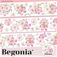 Item thumbnail for item dc8191d3-9216-4fca-a9ee-03185547dd39