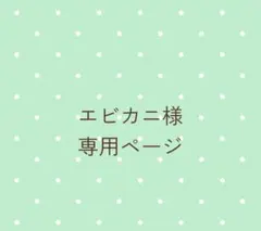 エビカニ様専用ページ 水引 パーツ