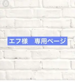 エフ様 リクエスト 4点 まとめ商品
