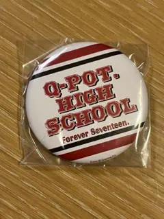 Q-POT. 　HIGH SCHOOL 缶バッジ