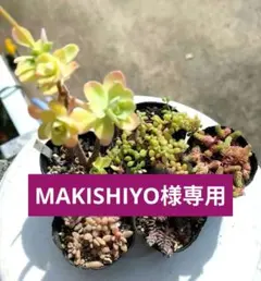 MAKISHIYO様 リクエスト 5点 まとめ商品