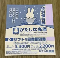 2026年最新】かたしな高原スキー場の人気アイテム - メルカリ