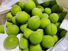 えりか☘️様 リクエスト 2点 まとめ商品