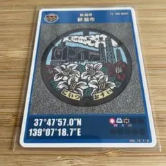 Item thumbnail for item de101b70-d9d8-49ac-bde4-dc7cd30db352