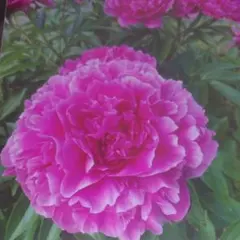 リンクス様 リクエスト 2点 まとめ商品