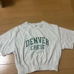 スウェットtシャツ Tシャツ