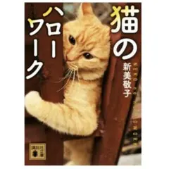 棚原紀美代様 リクエスト 2点 まとめ商品