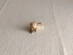 【misen2014さま】vintage figure ୨୧ ベージュ 猫ちゃん