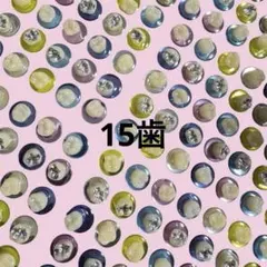 歯シール 歯イルシール 歯15粒