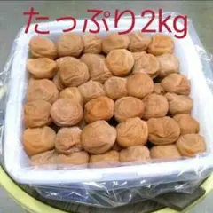 たっぷり2kg 無添加 自家製 梅干し 紀州みなべの南高梅