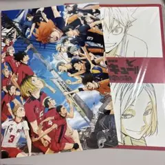劇場版ハイキューゴミ捨て場の決戦 パンフレット 特典