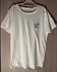 Patagonia Tシャツ (pataloha/ハワイ限定)