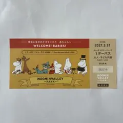 ムーミンバレーパーク 1デーパス 大人・子供共通