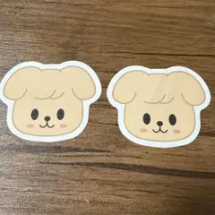 straykids スキズ ペンミ コンフェッティ 紙吹雪 落下物 スンミン