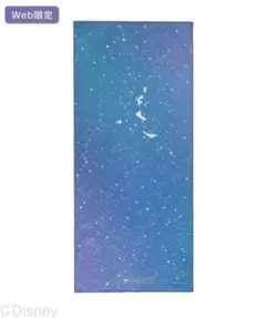 新品【SUKALA】プリントヨギラグ ディズニー ピーターパン