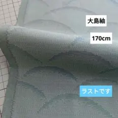 170cm 大島紬 パステルグリーン 芝草 ブルー 着物リメイク ハギレ