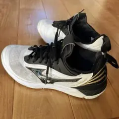 ミズノ　バレーボールシューズ　ウエーブルミナス2 26cm Amazon | [ミズノ] バレーボールシューズ ウエーブルミナス