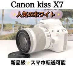 Item thumbnail for item 0554d0a9-3f8b-43cf-8d75-a435c38e91d5