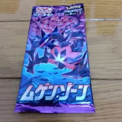 か*る様 断捨離中　ムゲンゾーン　未開封1パック　引退品　_130ar