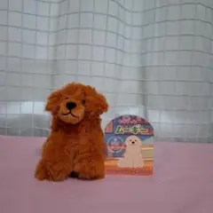 むぎゅっとムーギー　チャビ