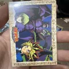 遊戯王 デュエルモンスターズ イラストカード 海馬瀬人
