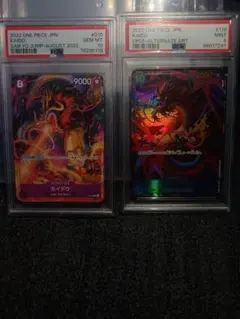 ウインディex 中国語 PSA10 - メルカリ